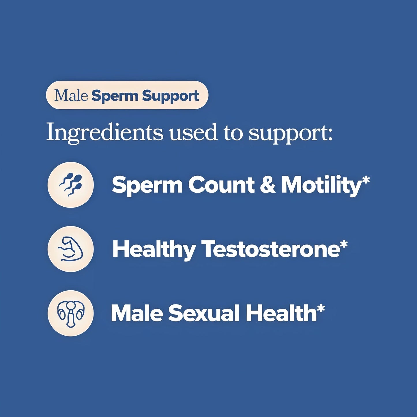 O Positiv Preggo Sperm Health Capsules for Men - OBGYN-Formulated for Improved Sperm Count & Motility with Tongkat Ali, NAC, Alpha Lipoic Acid – Male Reproductive Health, 60 Count (Pack of 1)